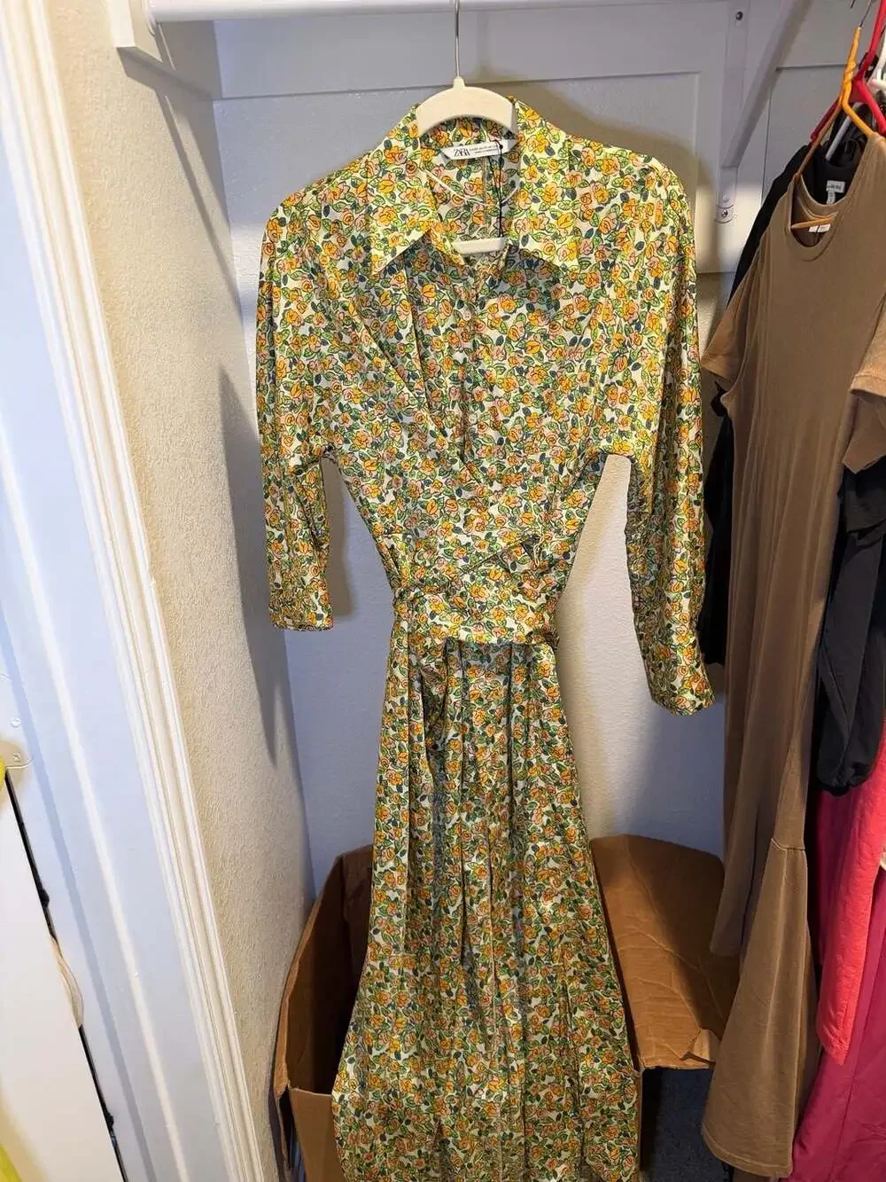 Zara - Picture 5 of 5